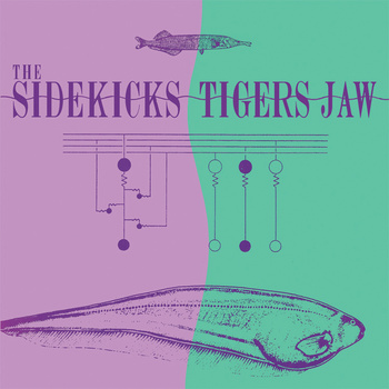 File:The Sidekicks​ - ​Tigers Jaw album cover.jpg