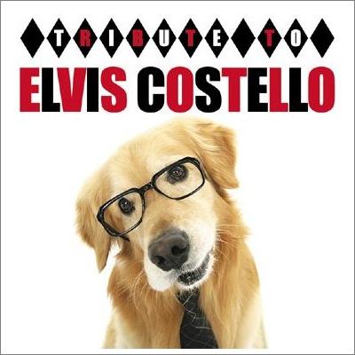 File:Tribute To Elvis Costello album cover.jpg