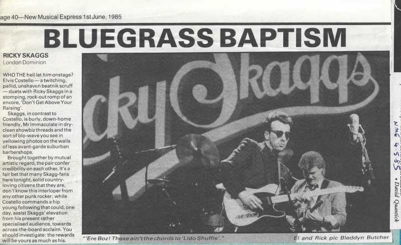 File:1985-06-01 New Musical Express page 40 clipping 01.jpg