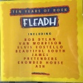 Ten Years Of Rock Fleadh album cover.jpg