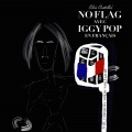 No Flag en français single artwork.jpg