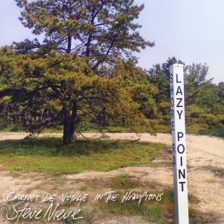 Steve Nieve Lazy Point album cover.jpg