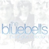The Bluebells The Single Collection album cover.jpg