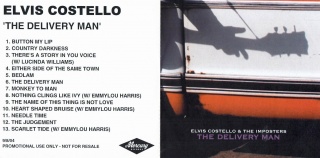 The Delivery Man (Promo) album cover.jpg