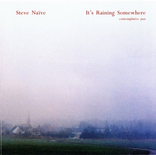 Steve Nieve It's Raining Somewhere album cover.jpg