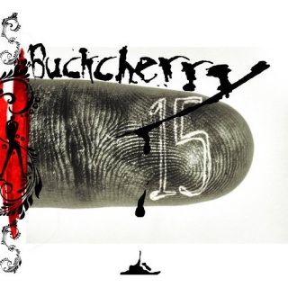Buckcherry 15 album cover.jpg