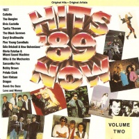 Hits Now '89 Volume Two album cover.jpg